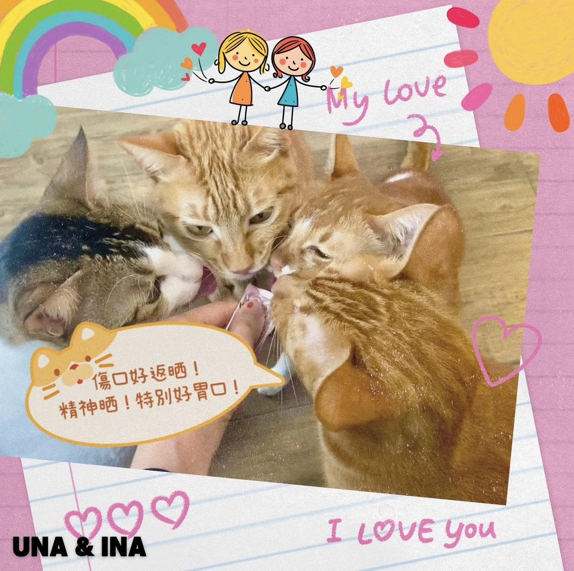 (Pet formula) Anti-inflammatory and calming anther hydrosol