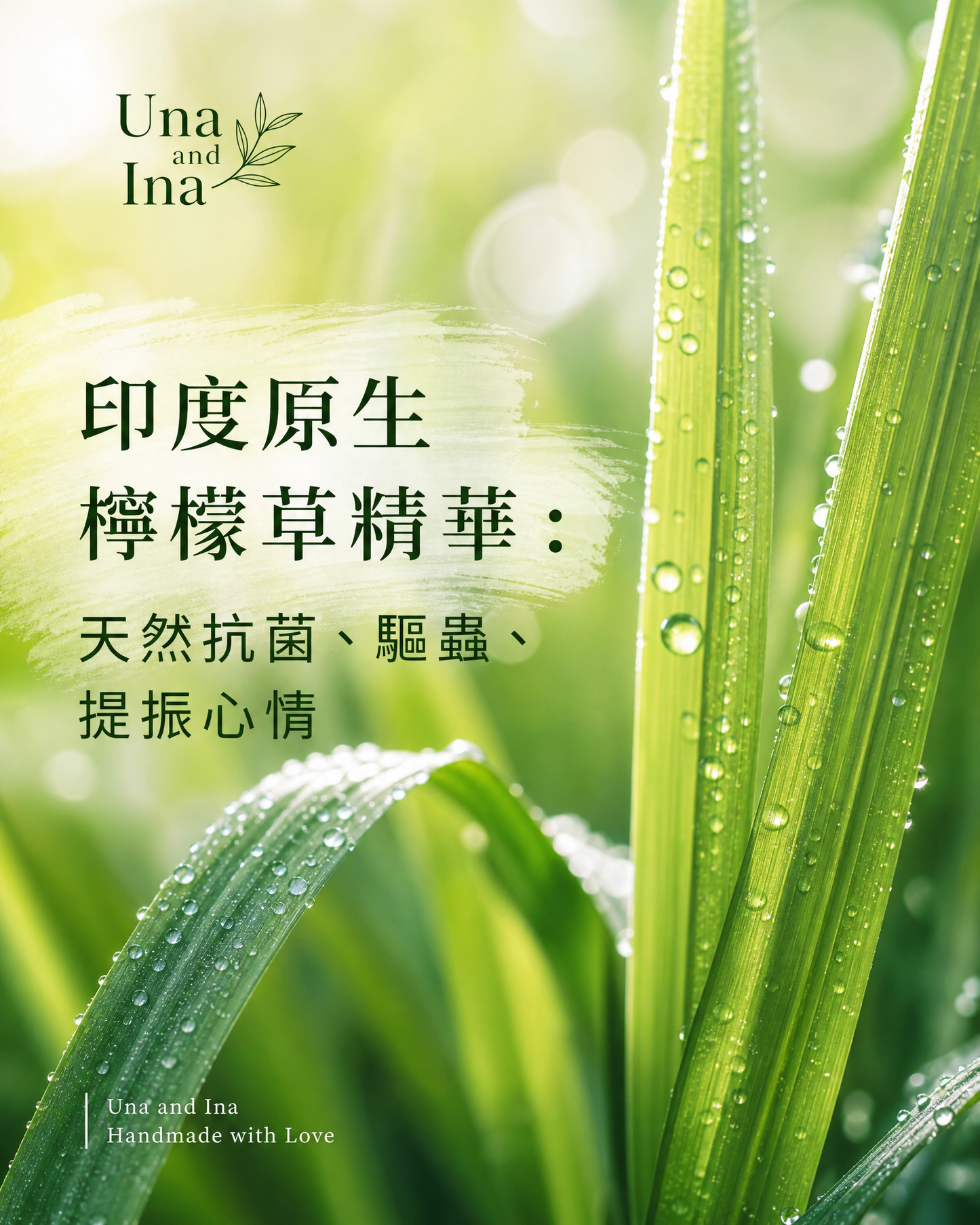 印度檸檬草天然地板清潔劑 1000mL