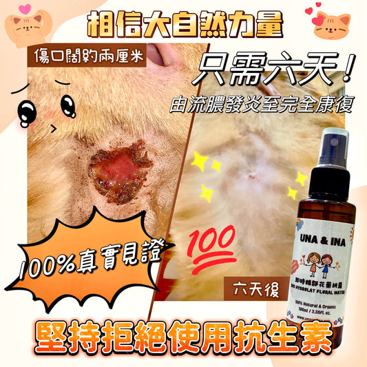 (Pet formula) Anti-inflammatory and calming anther hydrosol